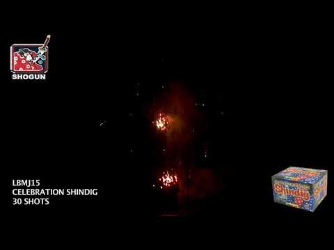 Load and play video in Gallery viewer, Celebration Shindig