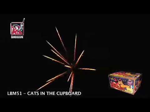 Load and play video in Gallery viewer, Cats in the Cupboard