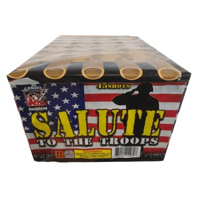 Load image into Gallery viewer, Salute to the Troops