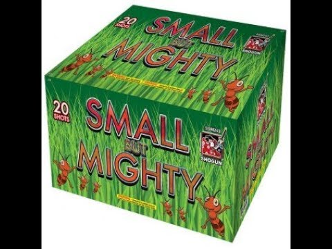 Load and play video in Gallery viewer, Small But Mighty
